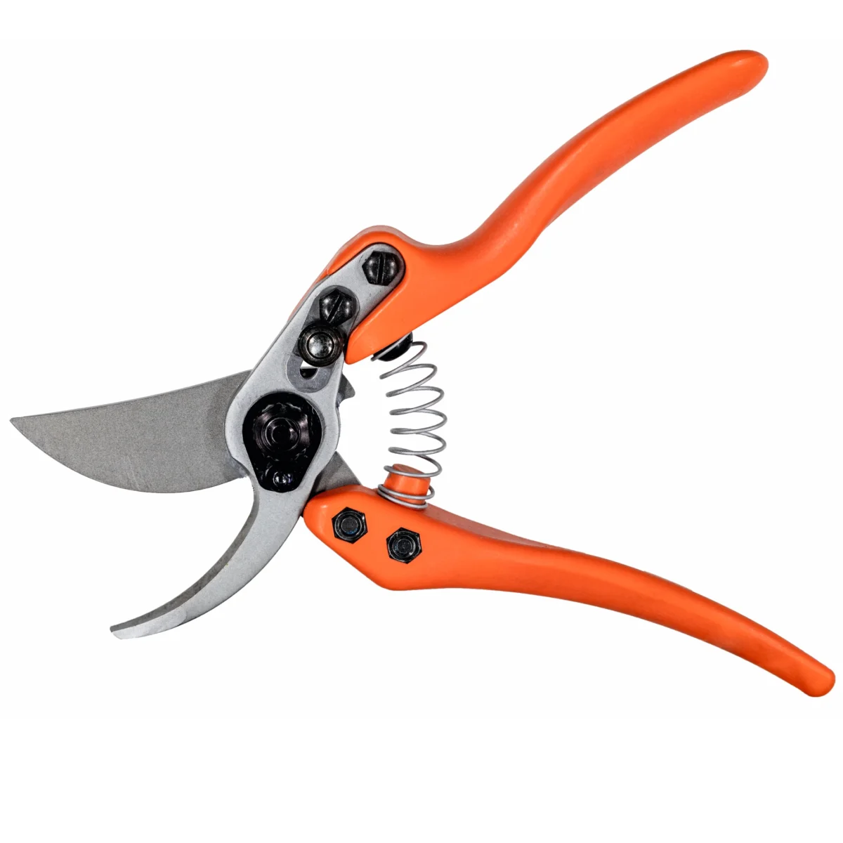 Löwe 11 Precision Clean Cut za žene