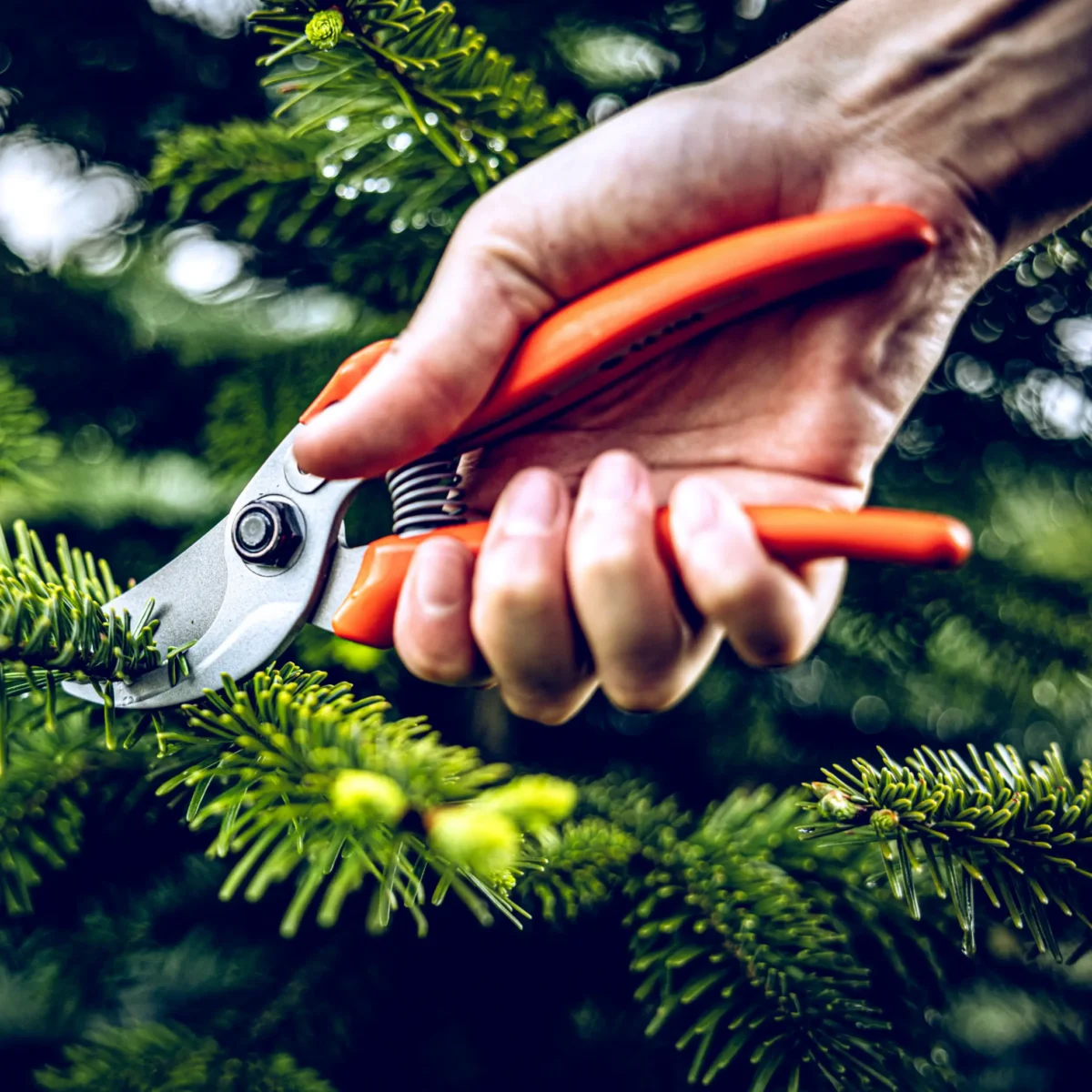 Löwe 14.104 Economic Clean Cut vrtne škare