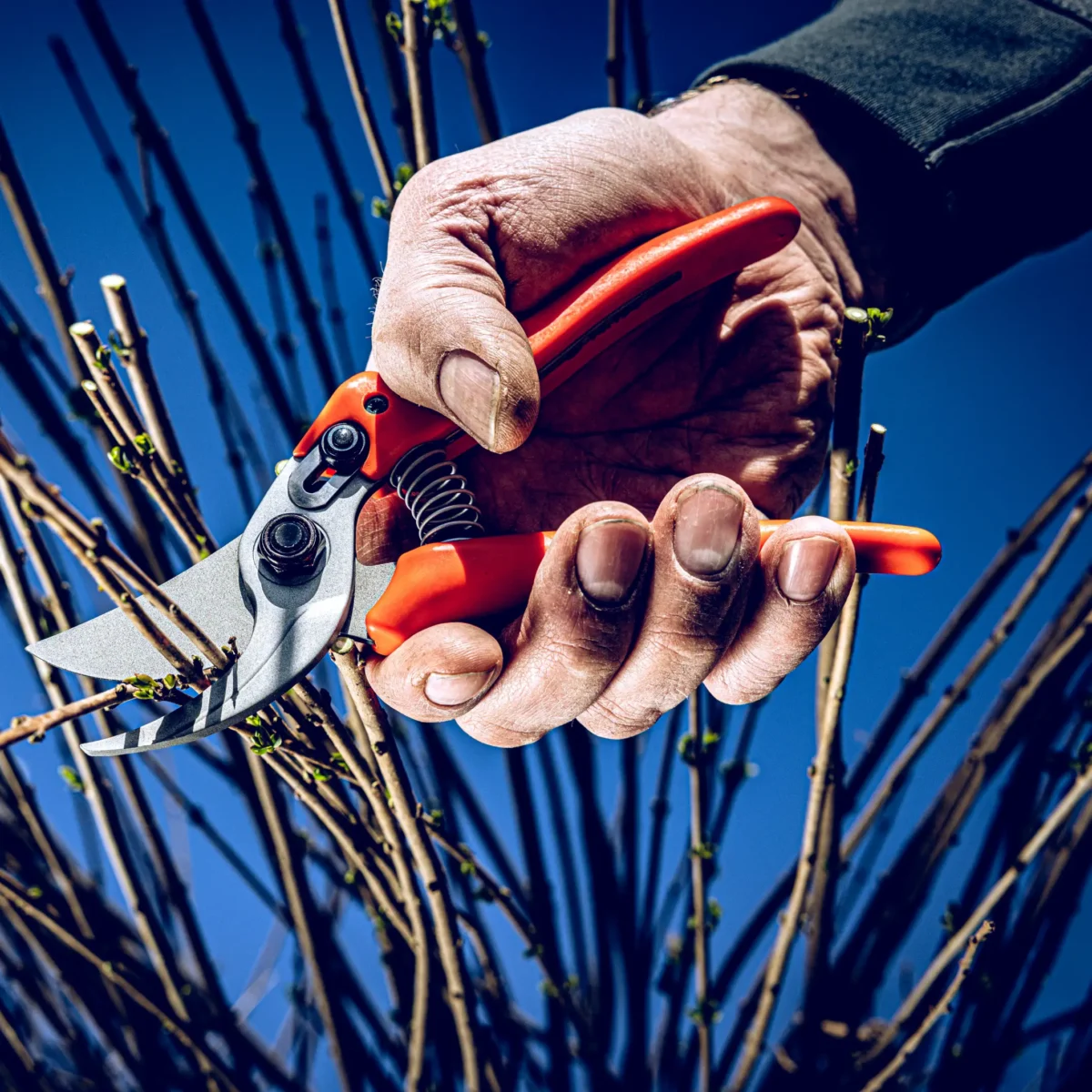 Löwe 14.104 Economic Clean Cut vrtne škare
