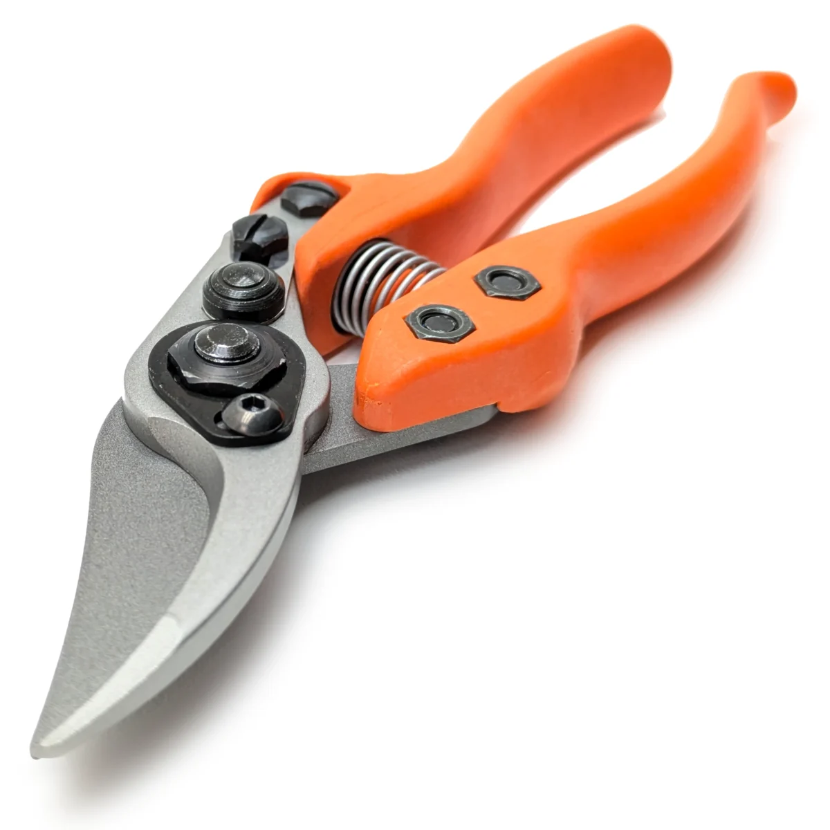 Löwe 12 Precision Clean Cut male vrtne škare za žene