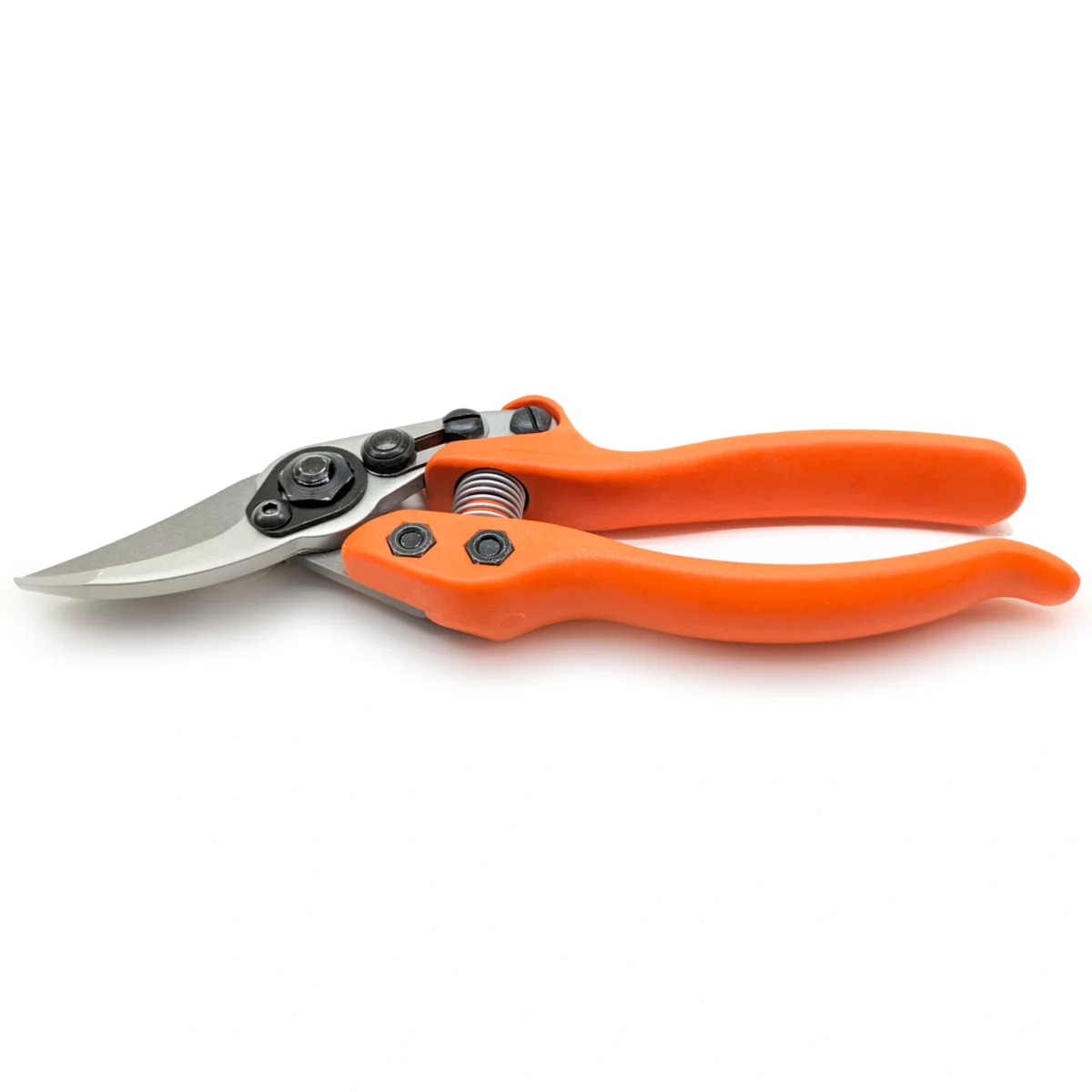Löwe 12 Precision Clean Cut male vrtne škare za žene