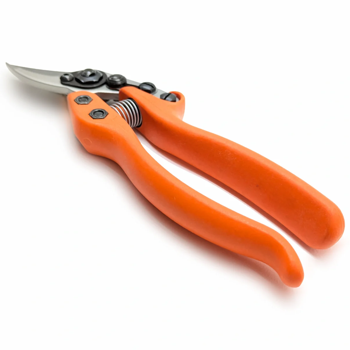 Löwe 12 Precision Clean Cut male vrtne škare za žene