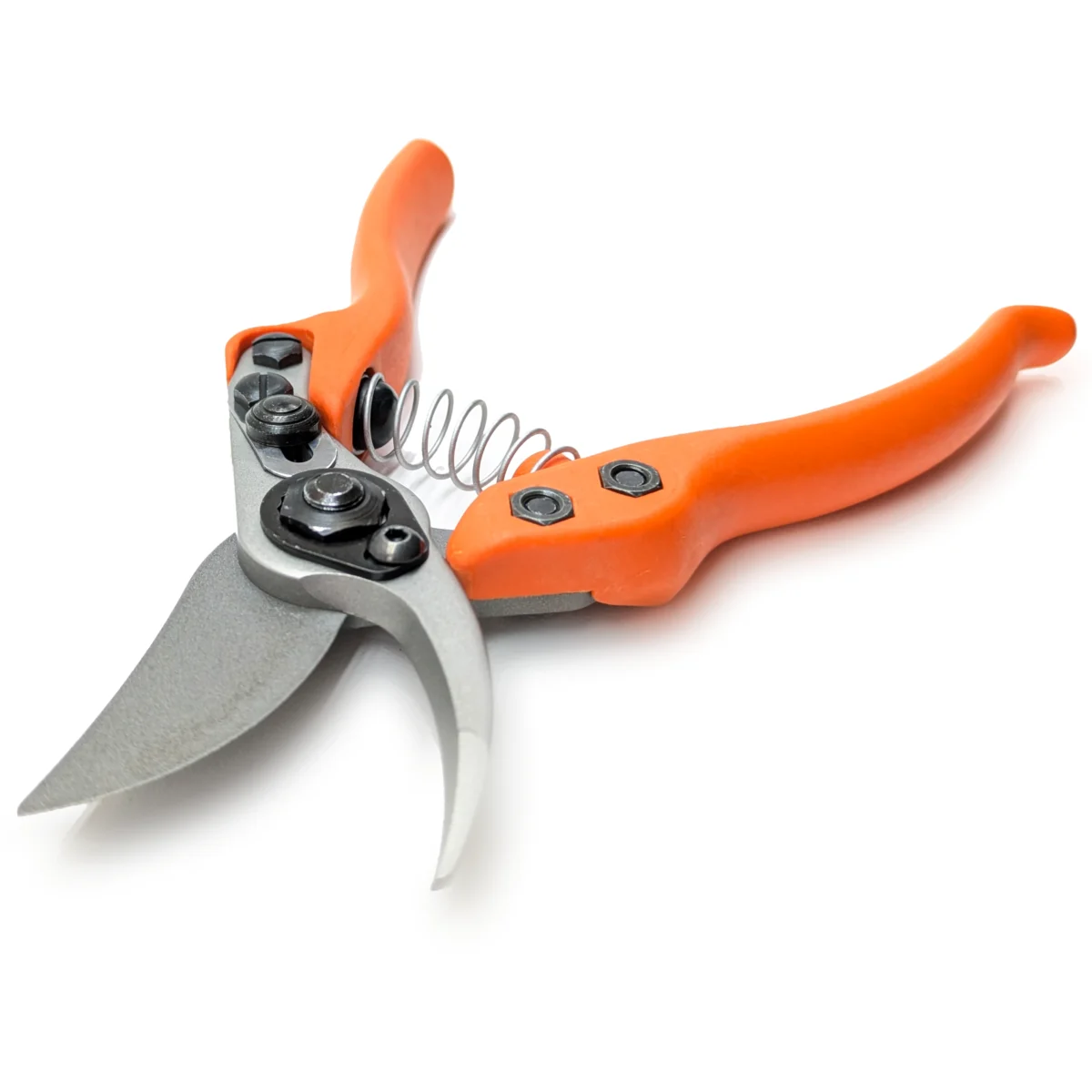 Löwe 12 Precision Clean Cut male vrtne škare za žene