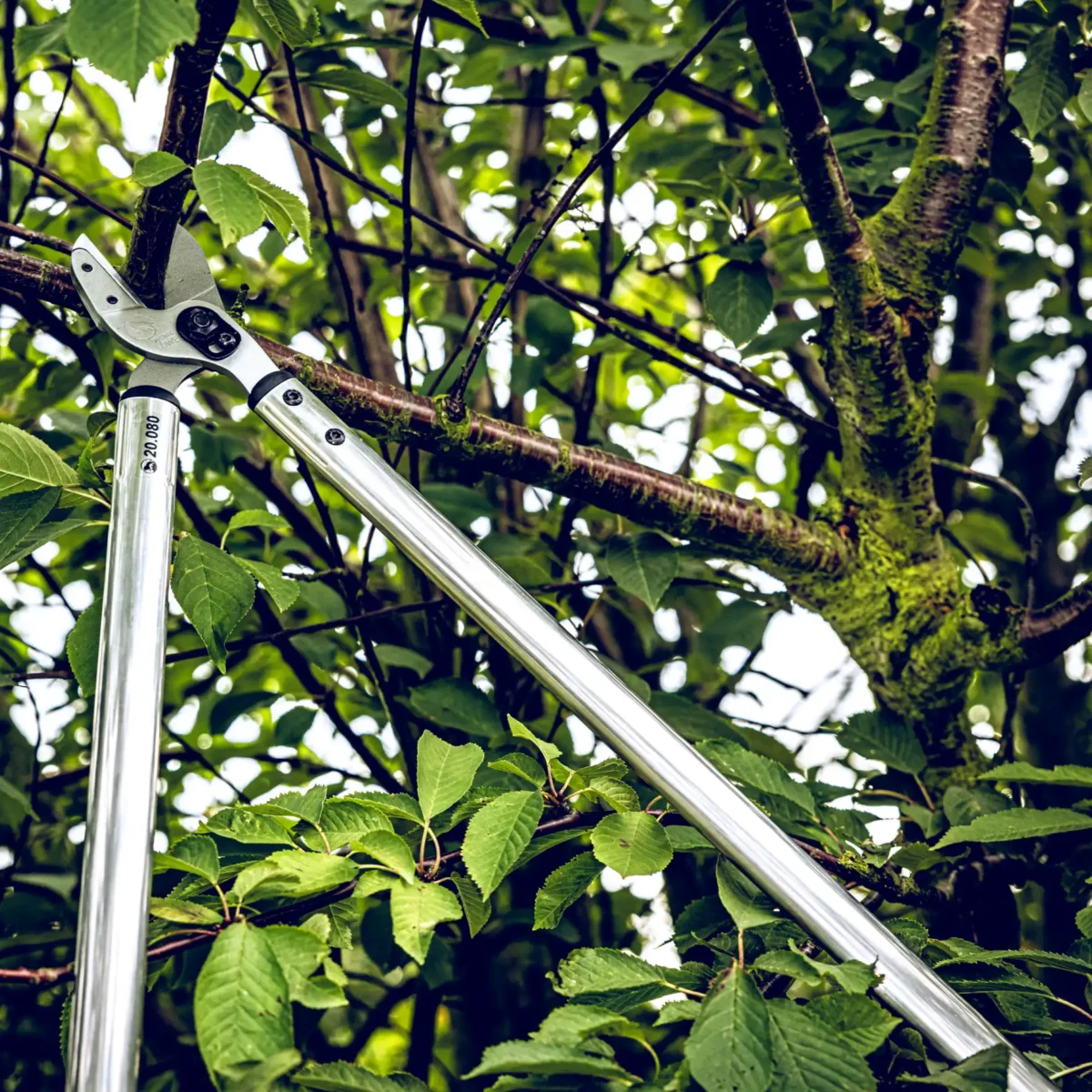 Originalne Löwe Fast Cut škare za rezidbu od 80 cm